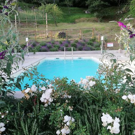 Alle Vignole Bed and Breakfast Coreglia Antelminelli Exterior foto