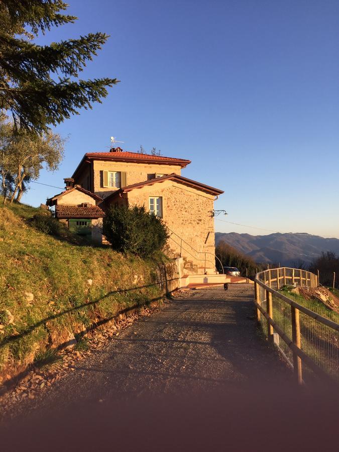 Alle Vignole Bed and Breakfast Coreglia Antelminelli Exterior foto