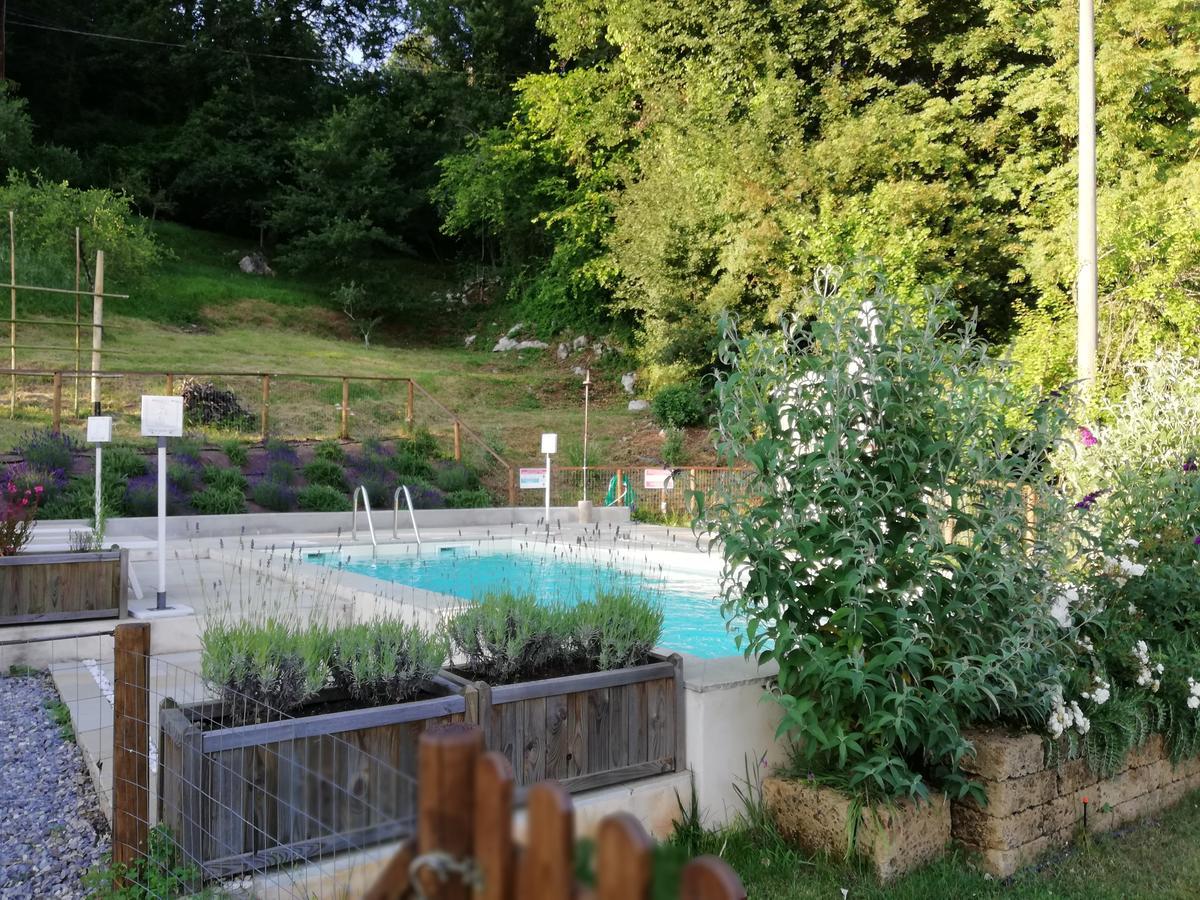Alle Vignole Bed and Breakfast Coreglia Antelminelli Exterior foto